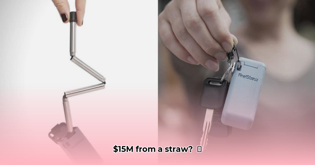 finalstraw-net-worth